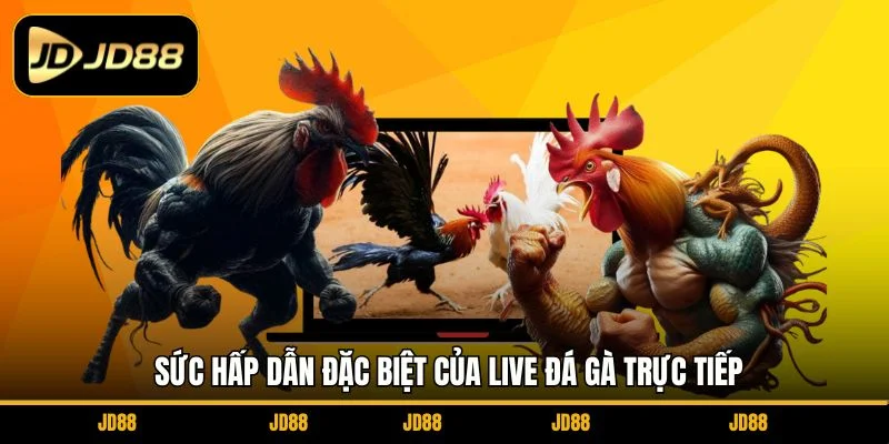suc-hap-dan-dac-biet-cua-live-da-ga-truc-tiep